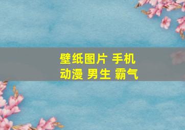 壁纸图片 手机 动漫 男生 霸气